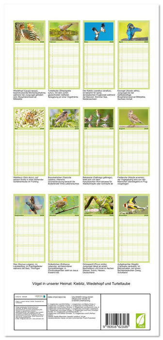 Vögel in unserer Heimat: Kiebitz, Wiedehopf und Turteltaube (CALVENDO Familienplaner 2026)