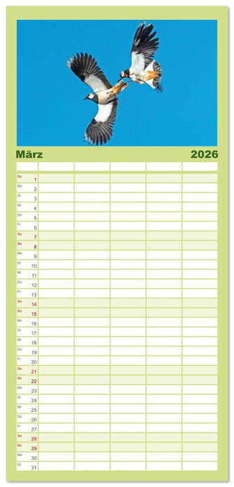 Vögel in unserer Heimat: Kiebitz, Wiedehopf und Turteltaube (CALVENDO Familienplaner 2026)