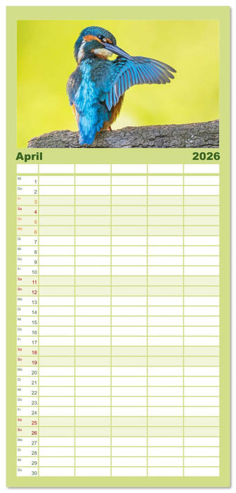 Vögel in unserer Heimat: Kiebitz, Wiedehopf und Turteltaube (CALVENDO Familienplaner 2026)