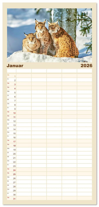 Arber, Rachel und Lusen: Der Hintere Bayerische Wald (CALVENDO Familienplaner 2026)