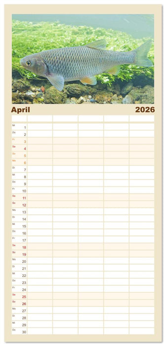 Forelle, Hecht und Stör: Fische in europäischen Gewässern (CALVENDO Familienplaner 2026)