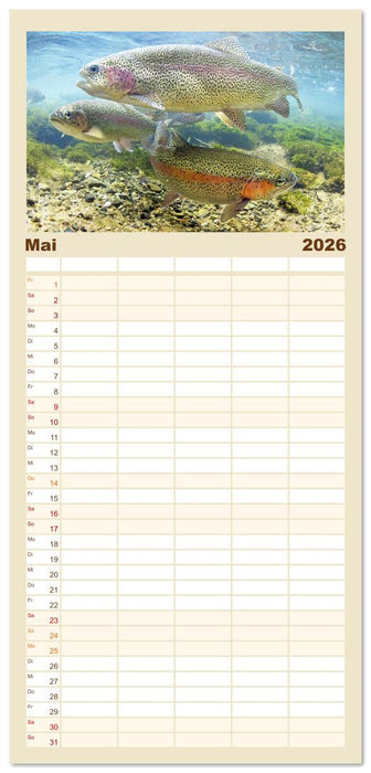 Forelle, Hecht und Stör: Fische in europäischen Gewässern (CALVENDO Familienplaner 2026)