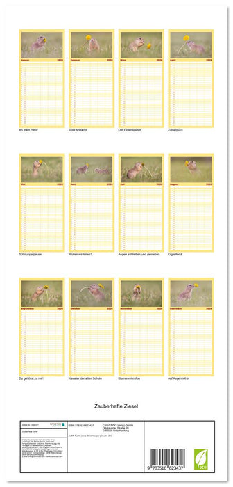 Zauberhafte Ziesel (CALVENDO Familienplaner 2026)