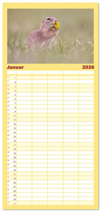 Zauberhafte Ziesel (CALVENDO Familienplaner 2026)