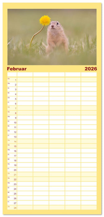 Zauberhafte Ziesel (CALVENDO Familienplaner 2026)