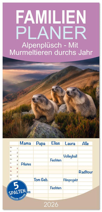 Alpenplüsch - Mit Murmeltieren durchs Jahr (CALVENDO Familienplaner 2026)