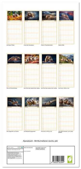 Alpenplüsch - Mit Murmeltieren durchs Jahr (CALVENDO Familienplaner 2026)