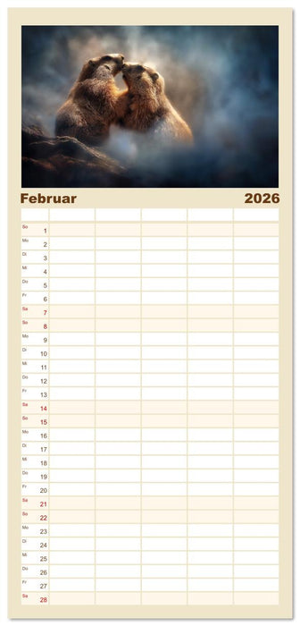 Alpenplüsch - Mit Murmeltieren durchs Jahr (CALVENDO Familienplaner 2026)