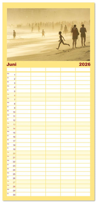 An Rio's Stränden (CALVENDO Familienplaner 2026)