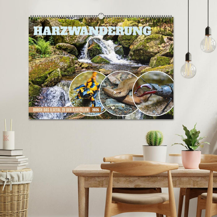 Harzwanderung-Durch das Ilsetal zu den Ilsefällen (CALVENDO Wandkalender 2026)