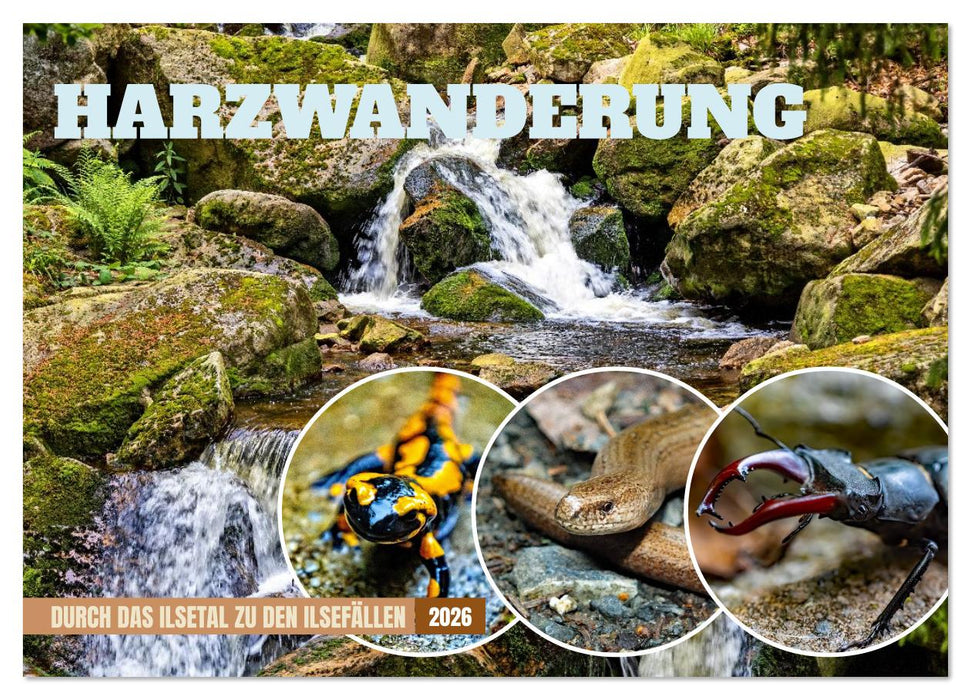 Harzwanderung-Durch das Ilsetal zu den Ilsefällen (CALVENDO Wandkalender 2026)