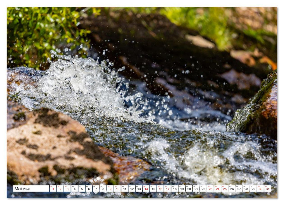 Harzwanderung-Durch das Ilsetal zu den Ilsefällen (CALVENDO Wandkalender 2026)