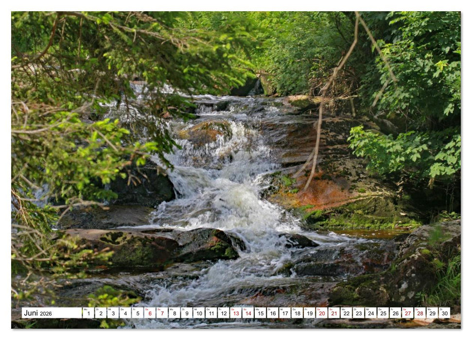 Harzwanderung-Durch das Ilsetal zu den Ilsefällen (CALVENDO Wandkalender 2026)