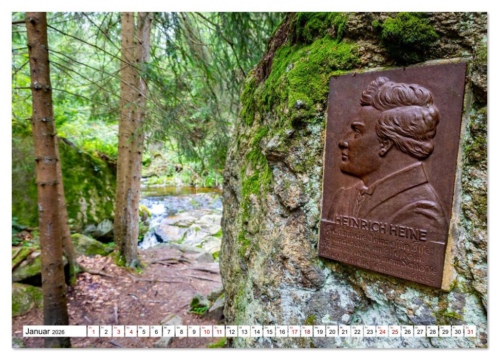 Harzwanderung-Durch das Ilsetal zu den Ilsefällen (CALVENDO Premium Wandkalender 2026)