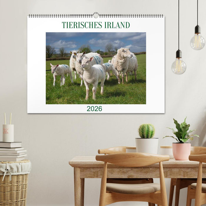 Irland erleben – Wo Schafe, Pferde und Kühe das Landschaftsbild prägen (CALVENDO Wandkalender 2026)