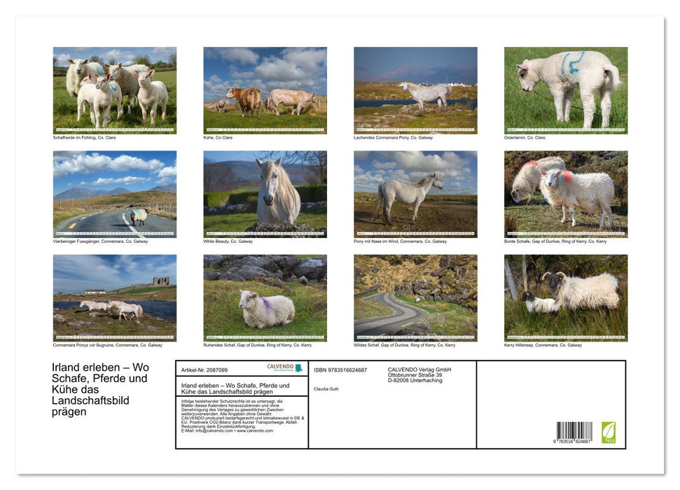 Irland erleben – Wo Schafe, Pferde und Kühe das Landschaftsbild prägen (CALVENDO Wandkalender 2026)