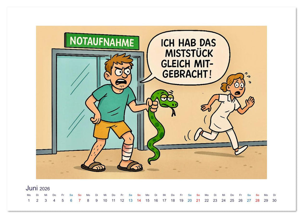 Wahnsinn in der Notaufnahme (CALVENDO Premium Wandkalender 2026)