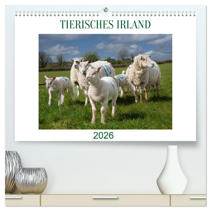Irland erleben – Wo Schafe, Pferde und Kühe das Landschaftsbild prägen (CALVENDO Premium Wandkalender 2026)