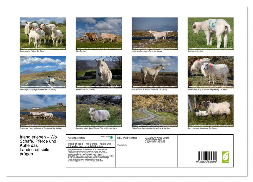 Irland erleben – Wo Schafe, Pferde und Kühe das Landschaftsbild prägen (CALVENDO Premium Wandkalender 2026)