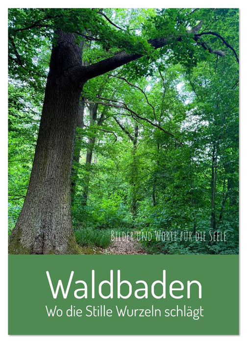 Waldbaden – Wo die Stille Wurzeln schlägt (CALVENDO Wandkalender 2026)