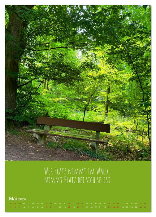 Waldbaden – Wo die Stille Wurzeln schlägt (CALVENDO Wandkalender 2026)
