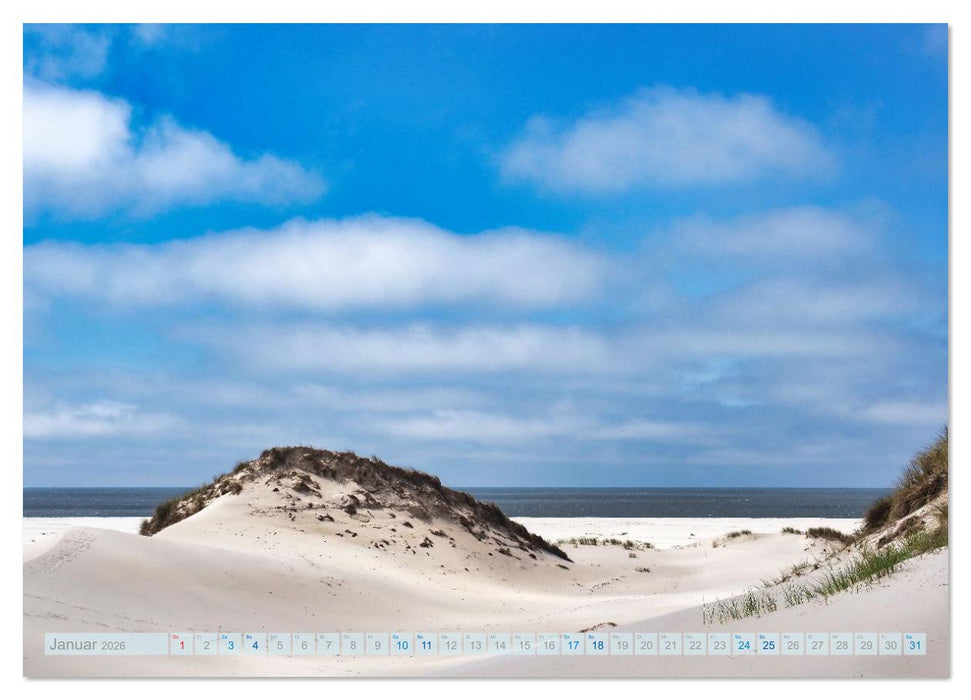 Amrum einfach schön (CALVENDO Premium Wandkalender 2026)