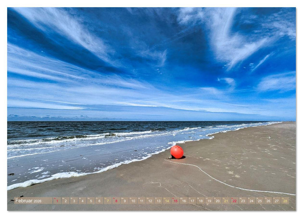 Amrum einfach schön (CALVENDO Premium Wandkalender 2026)