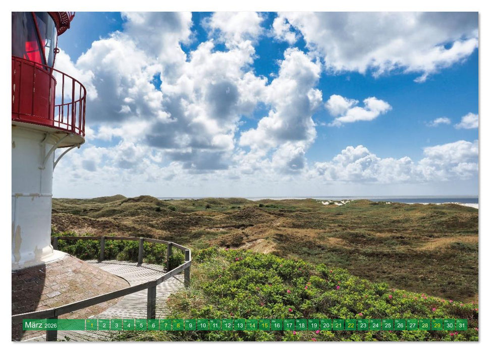 Amrum einfach schön (CALVENDO Premium Wandkalender 2026)