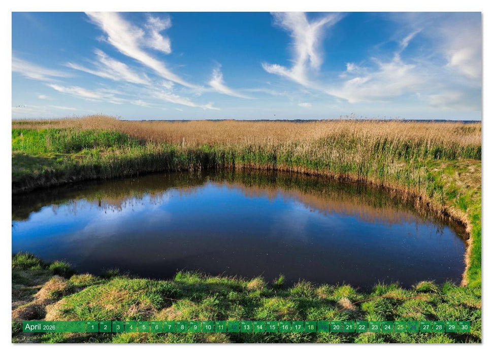 Amrum einfach schön (CALVENDO Premium Wandkalender 2026)