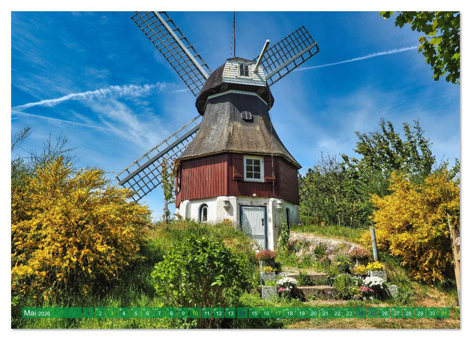 Amrum einfach schön (CALVENDO Premium Wandkalender 2026)