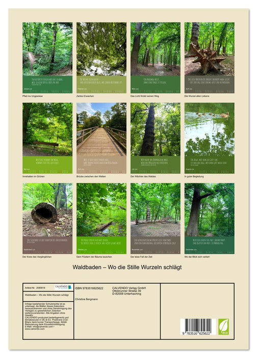 Waldbaden – Wo die Stille Wurzeln schlägt (CALVENDO Premium Wandkalender 2026)