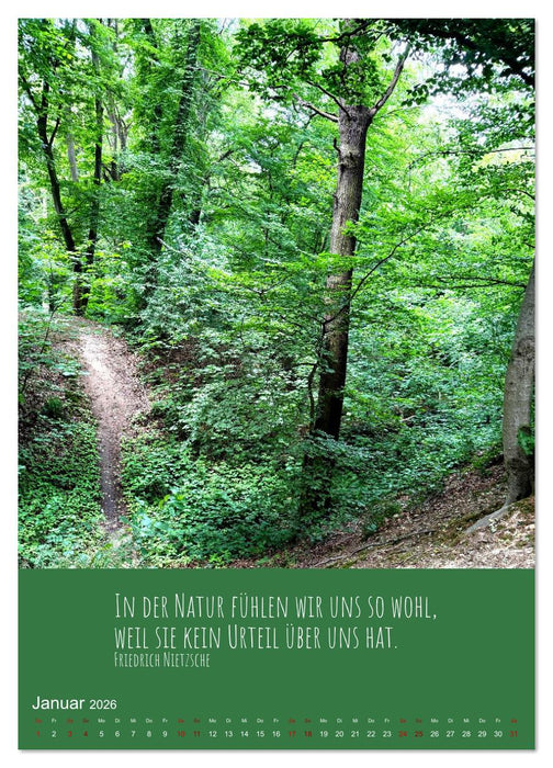 Waldbaden – Wo die Stille Wurzeln schlägt (CALVENDO Premium Wandkalender 2026)
