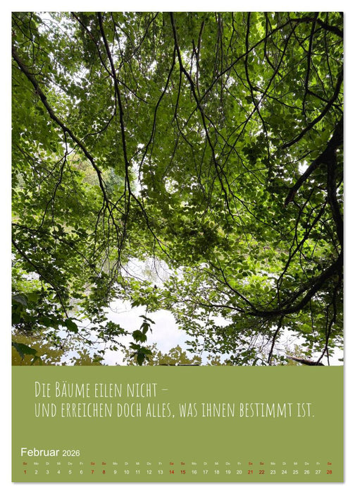 Waldbaden – Wo die Stille Wurzeln schlägt (CALVENDO Premium Wandkalender 2026)