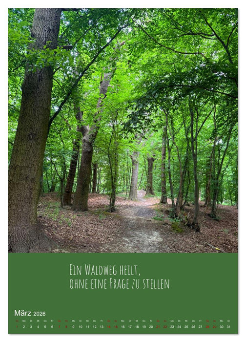 Waldbaden – Wo die Stille Wurzeln schlägt (CALVENDO Premium Wandkalender 2026)