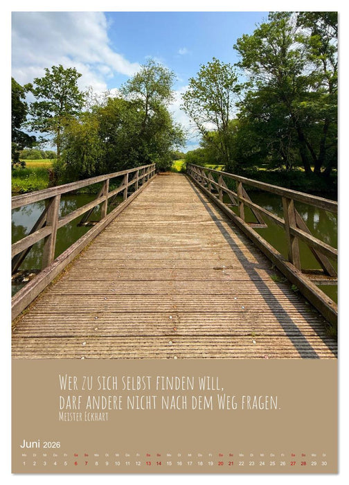 Waldbaden – Wo die Stille Wurzeln schlägt (CALVENDO Premium Wandkalender 2026)