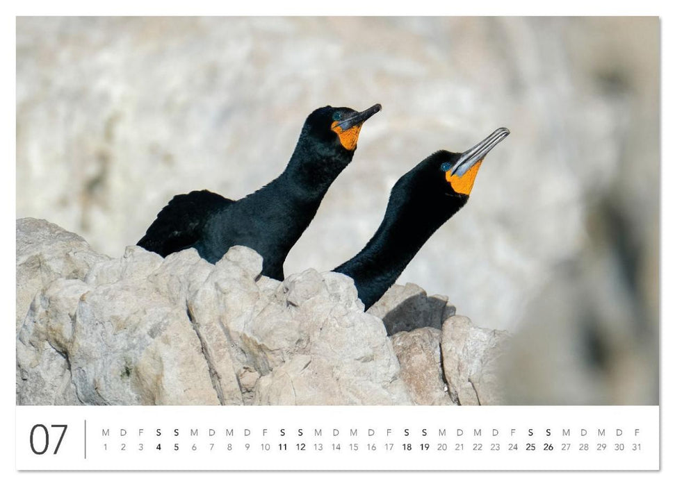 Südafrika Garden Route (CALVENDO Premium Wandkalender 2026)