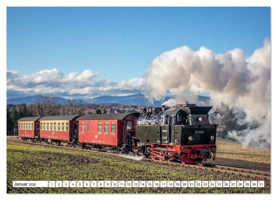 Selketalbahn im Harz (CALVENDO Wandkalender 2026)