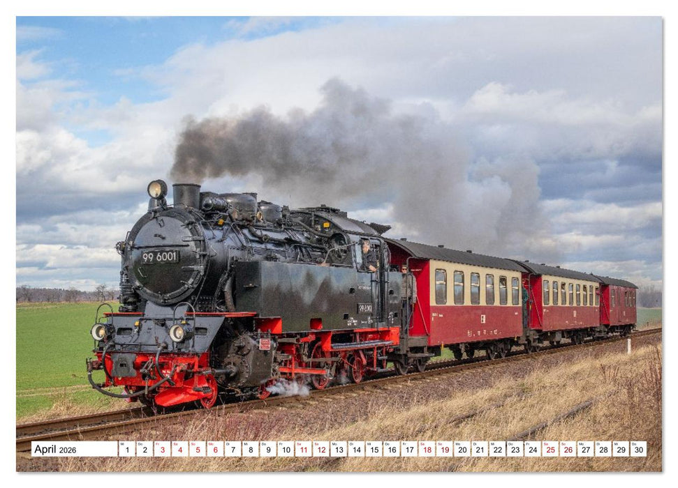 Selketalbahn im Harz (CALVENDO Wandkalender 2026)