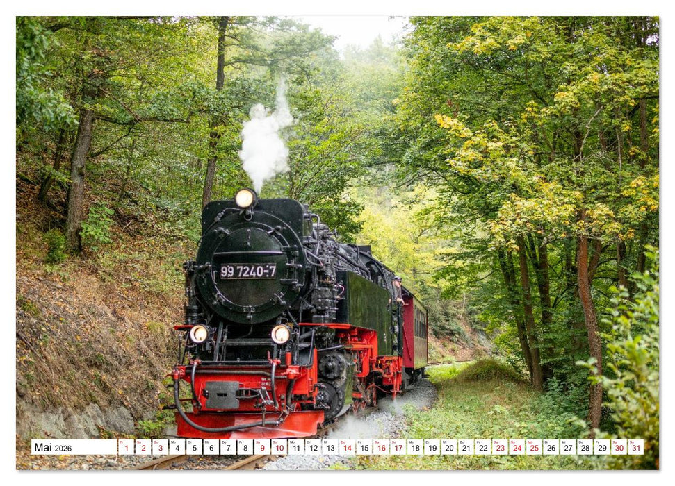 Selketalbahn im Harz (CALVENDO Wandkalender 2026)