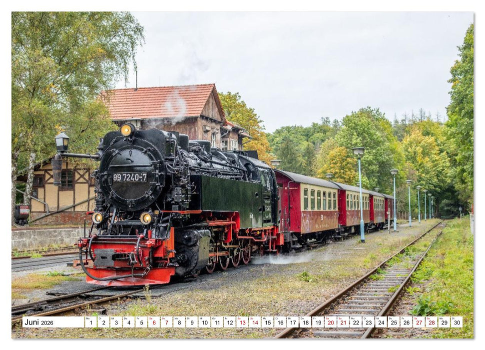 Selketalbahn im Harz (CALVENDO Wandkalender 2026)