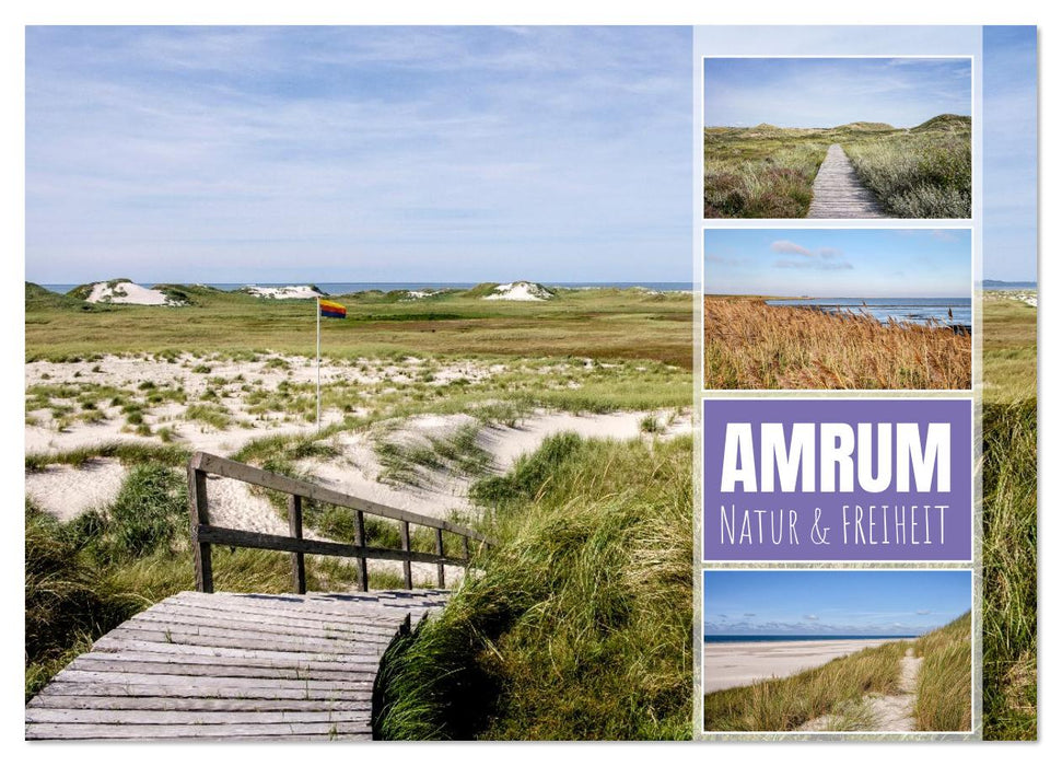 Amrum: Natur und Freiheit (CALVENDO Wandkalender 2026)