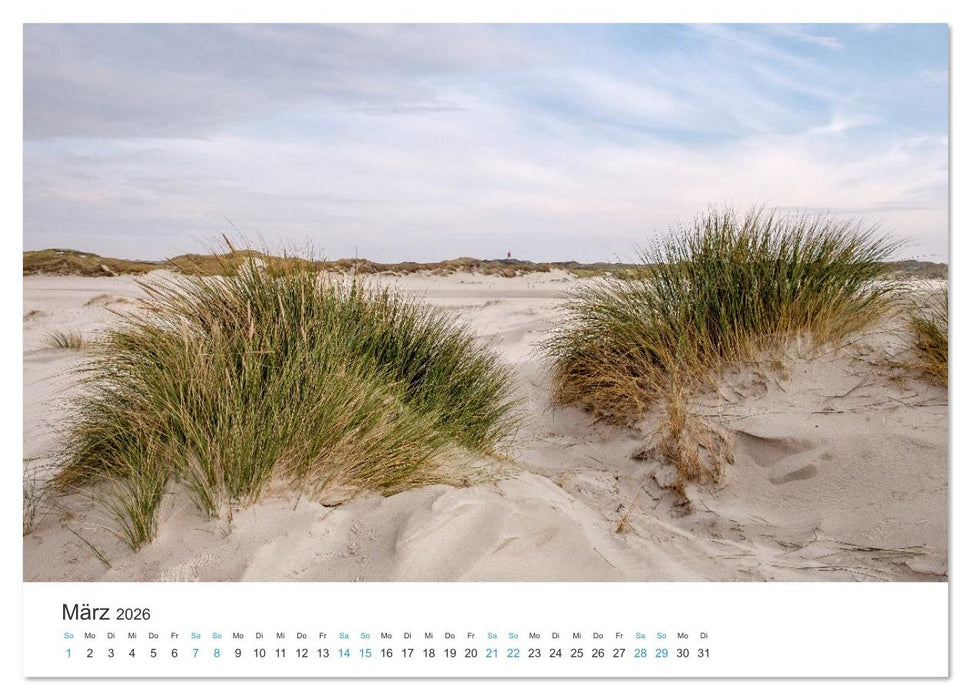 Amrum: Natur und Freiheit (CALVENDO Wandkalender 2026)