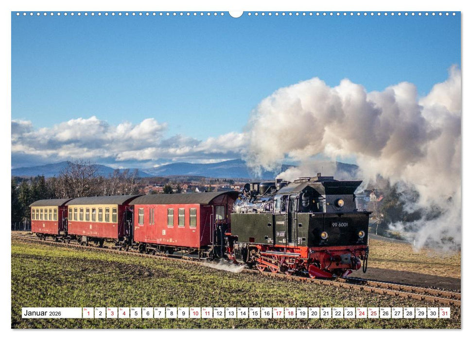 Selketalbahn im Harz (CALVENDO Premium Wandkalender 2026)