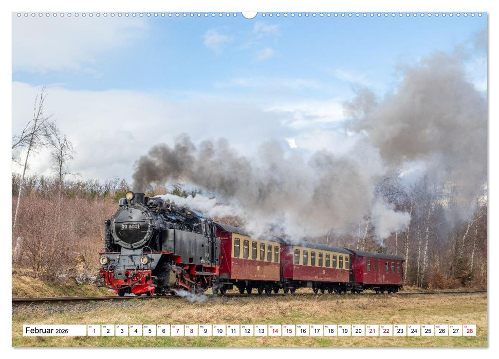 Selketalbahn im Harz (CALVENDO Premium Wandkalender 2026)
