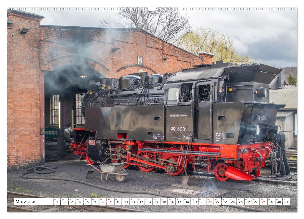 Selketalbahn im Harz (CALVENDO Premium Wandkalender 2026)