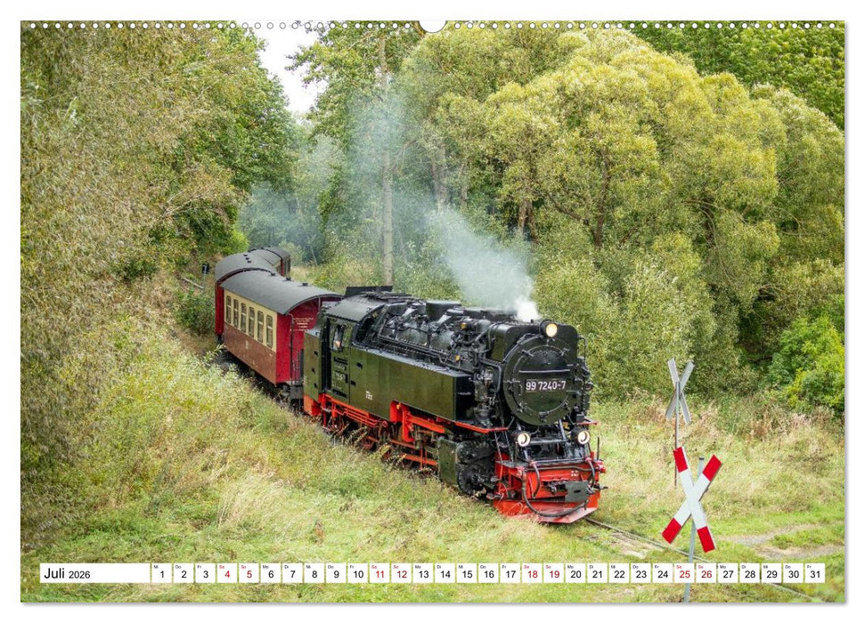 Selketalbahn im Harz (CALVENDO Premium Wandkalender 2026)
