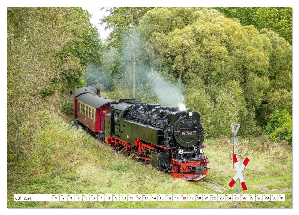 Selketalbahn im Harz (CALVENDO Premium Wandkalender 2026)