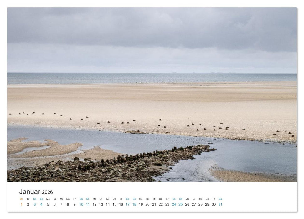 Amrum: Natur und Freiheit (CALVENDO Premium Wandkalender 2026)