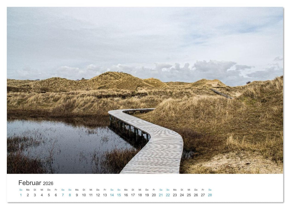 Amrum: Natur und Freiheit (CALVENDO Premium Wandkalender 2026)