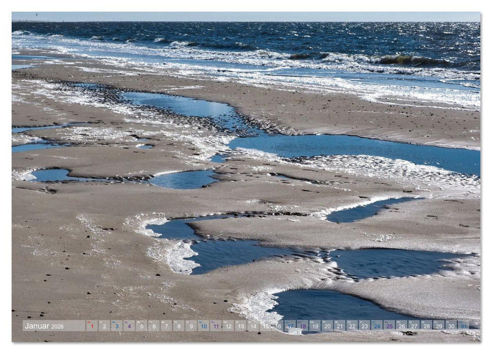 Amrum Glücksort (CALVENDO Premium Wandkalender 2026)